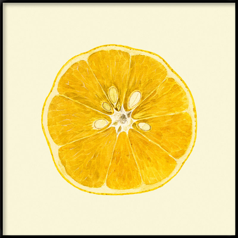 Lemon open