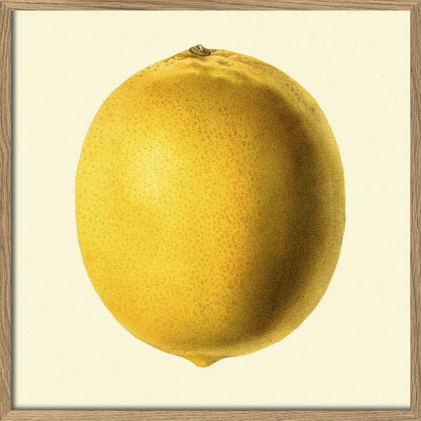 Lemon closed