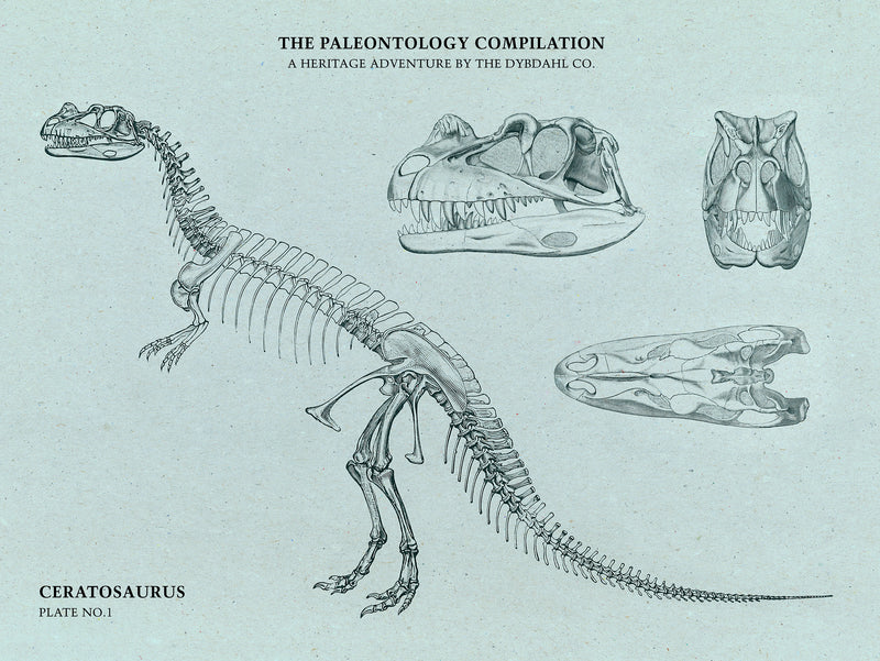 Ceratosaurus