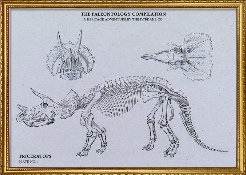 Triceratops Compilation