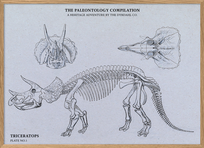 Triceratops Compilation