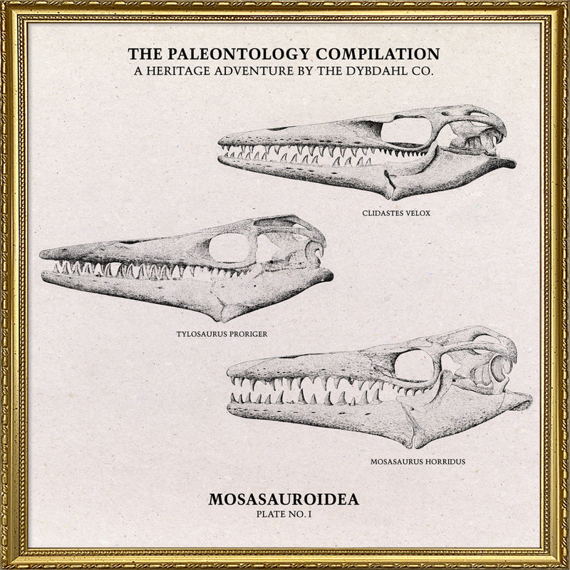 Mosasauroidea II.