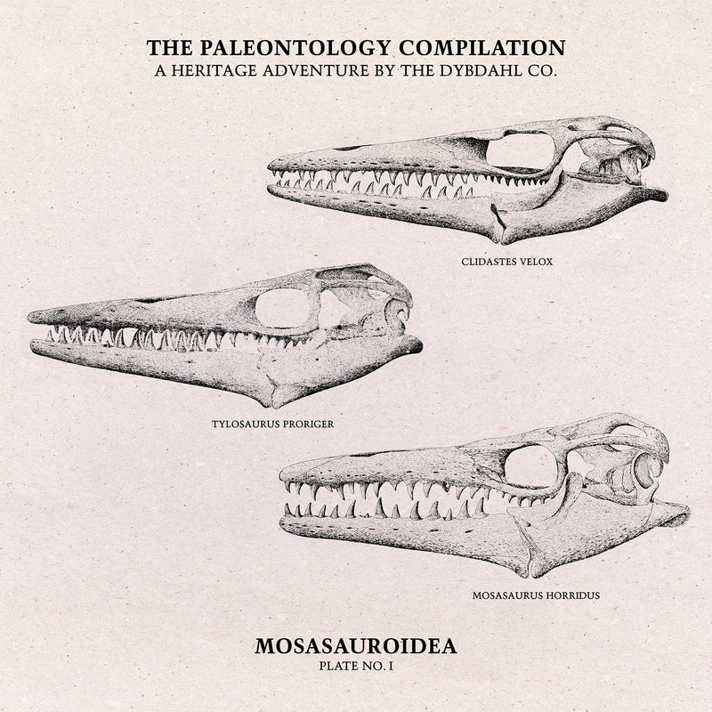 Mosasauroidea II.