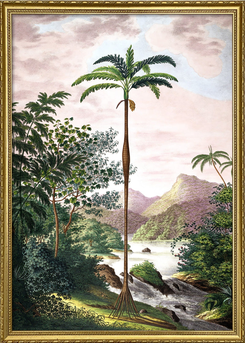 Jungle Scenery