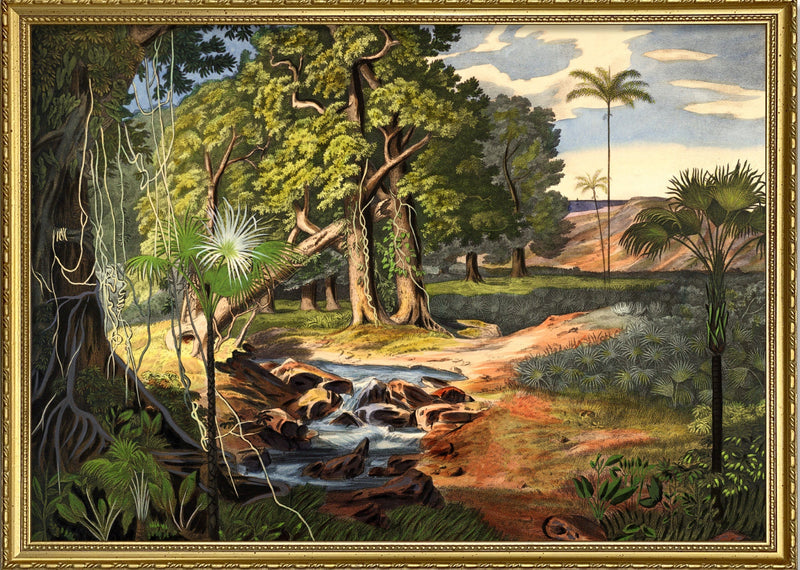 Jungle Scenery