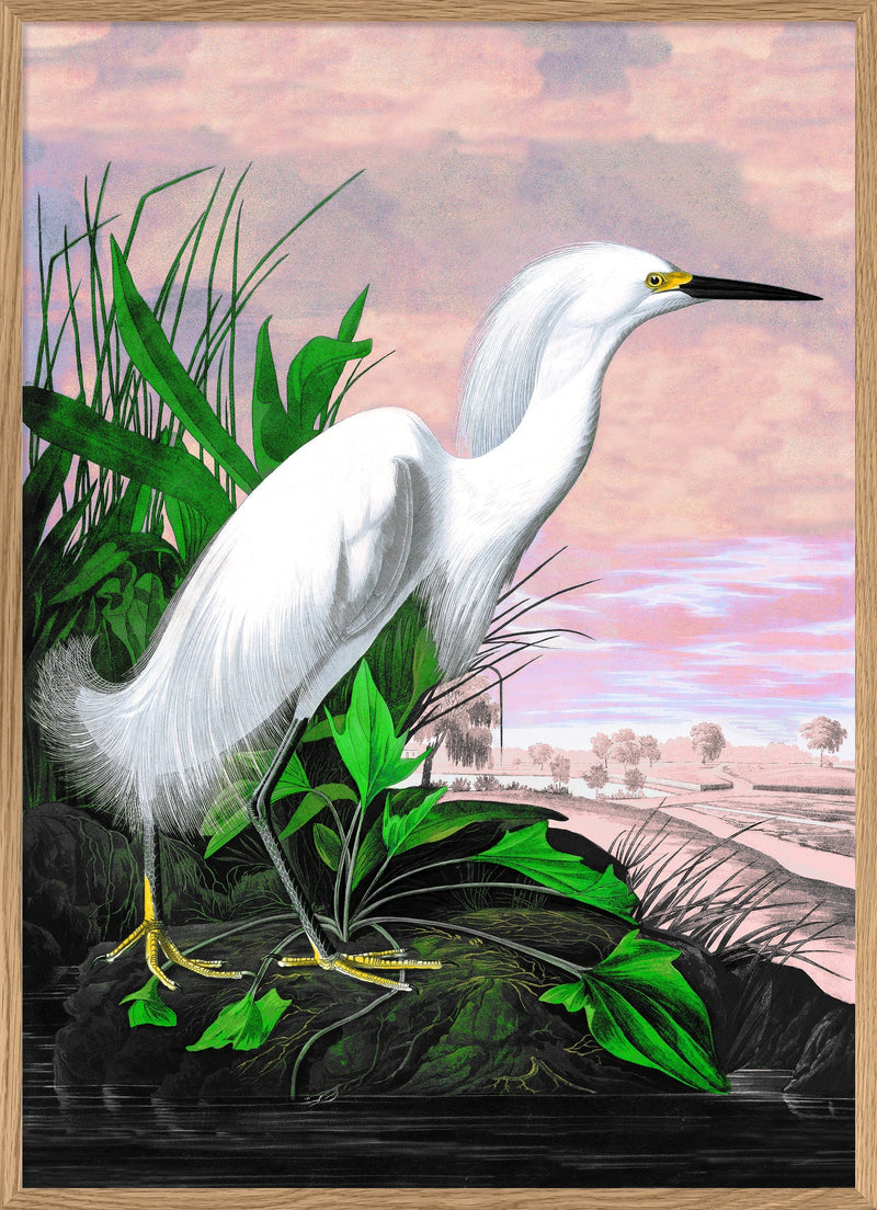 Snowy Heron Remixed