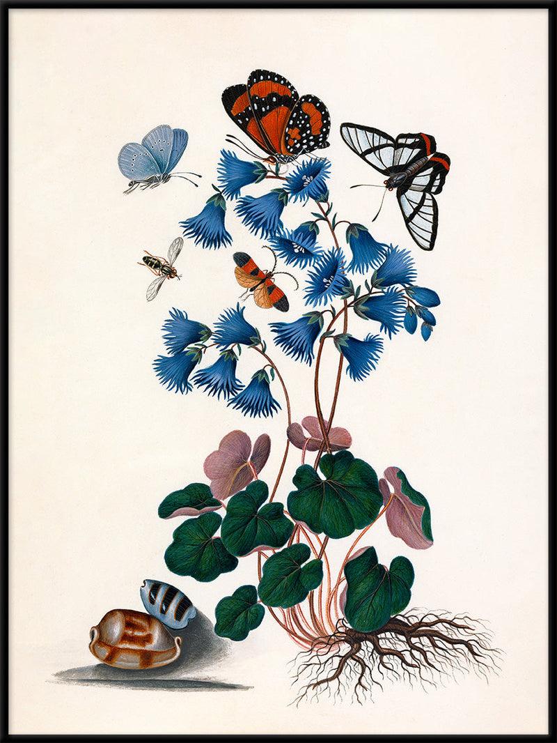 Butterflies & Blue Flowers