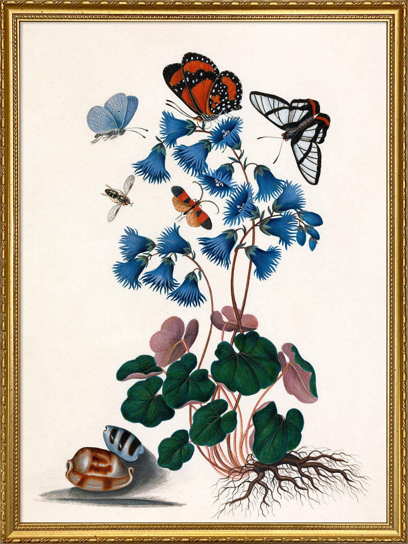 Butterflies & Blue Flowers