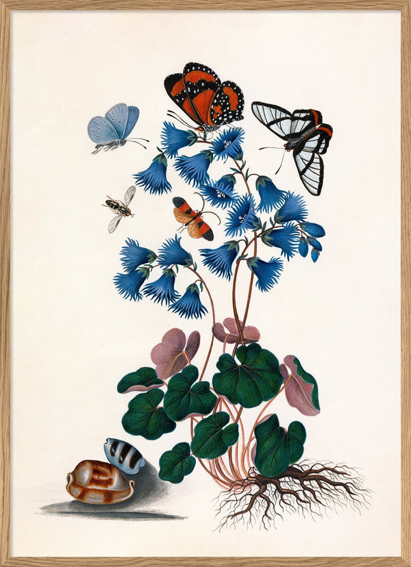 Butterflies & Blue Flowers