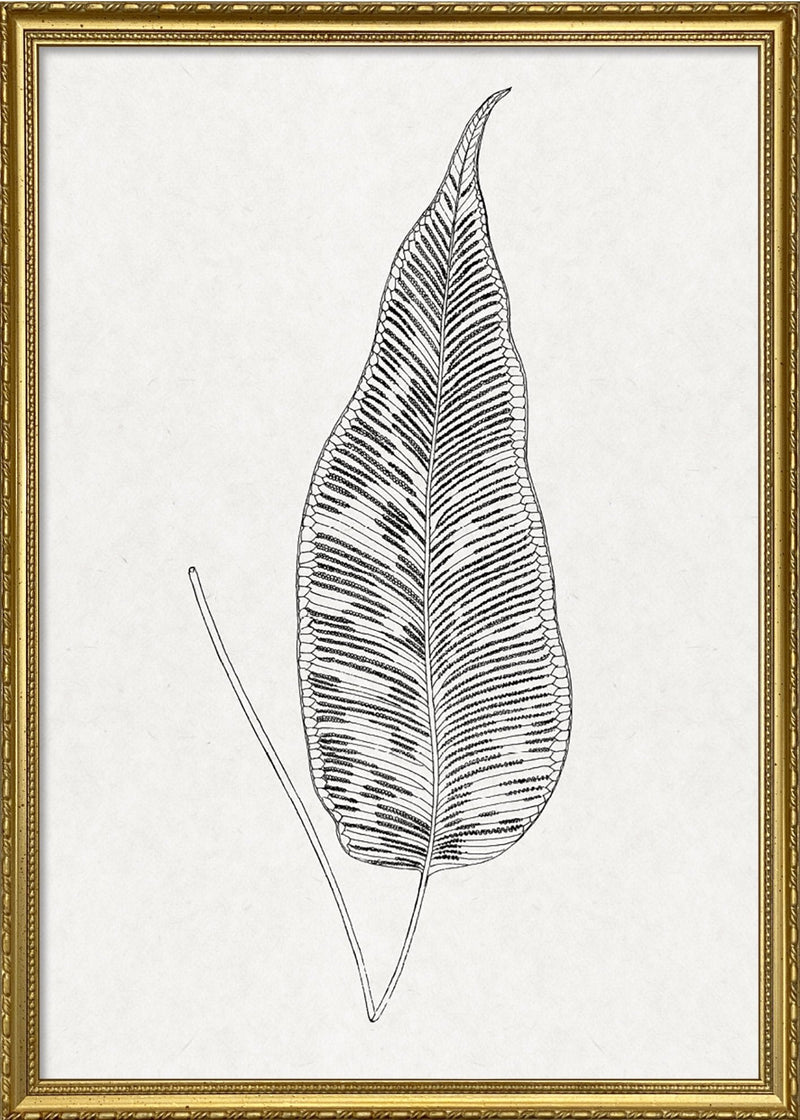 Leaves