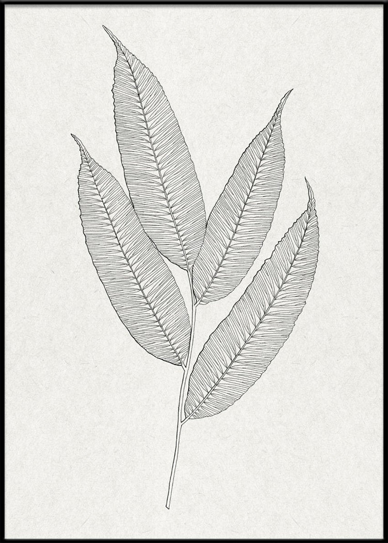 Leaves