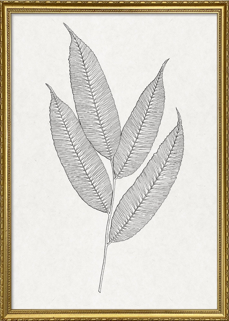 Leaves