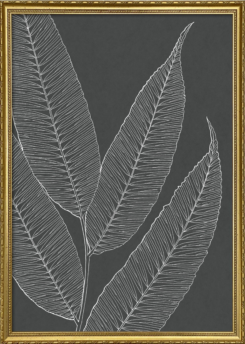 Leaves