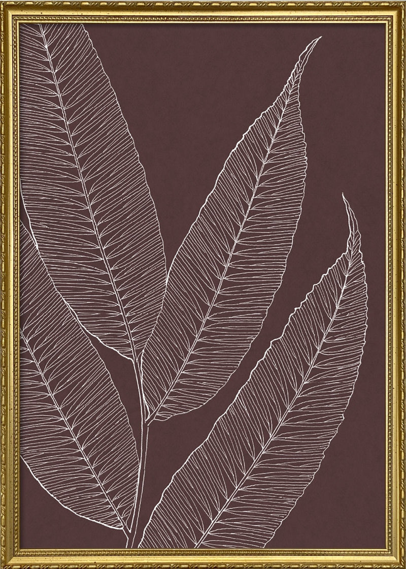 Leaves