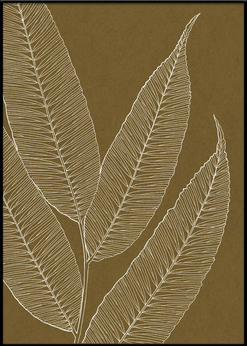 Leaves