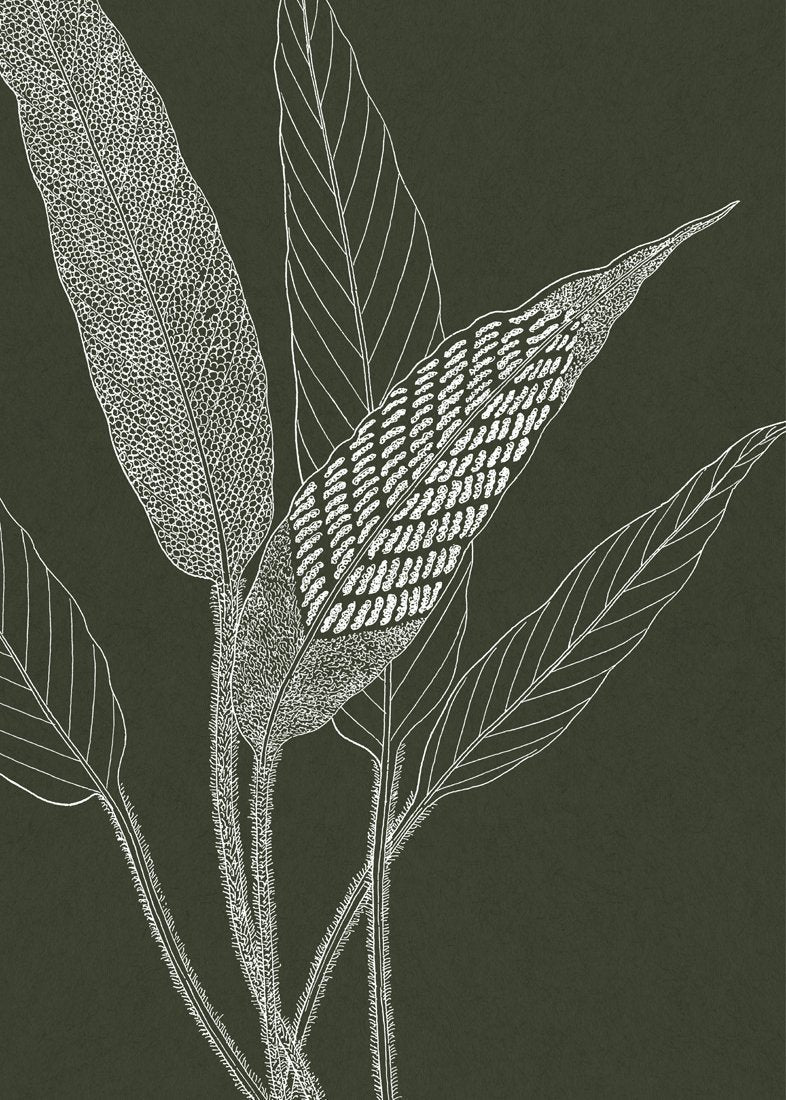 Leaves