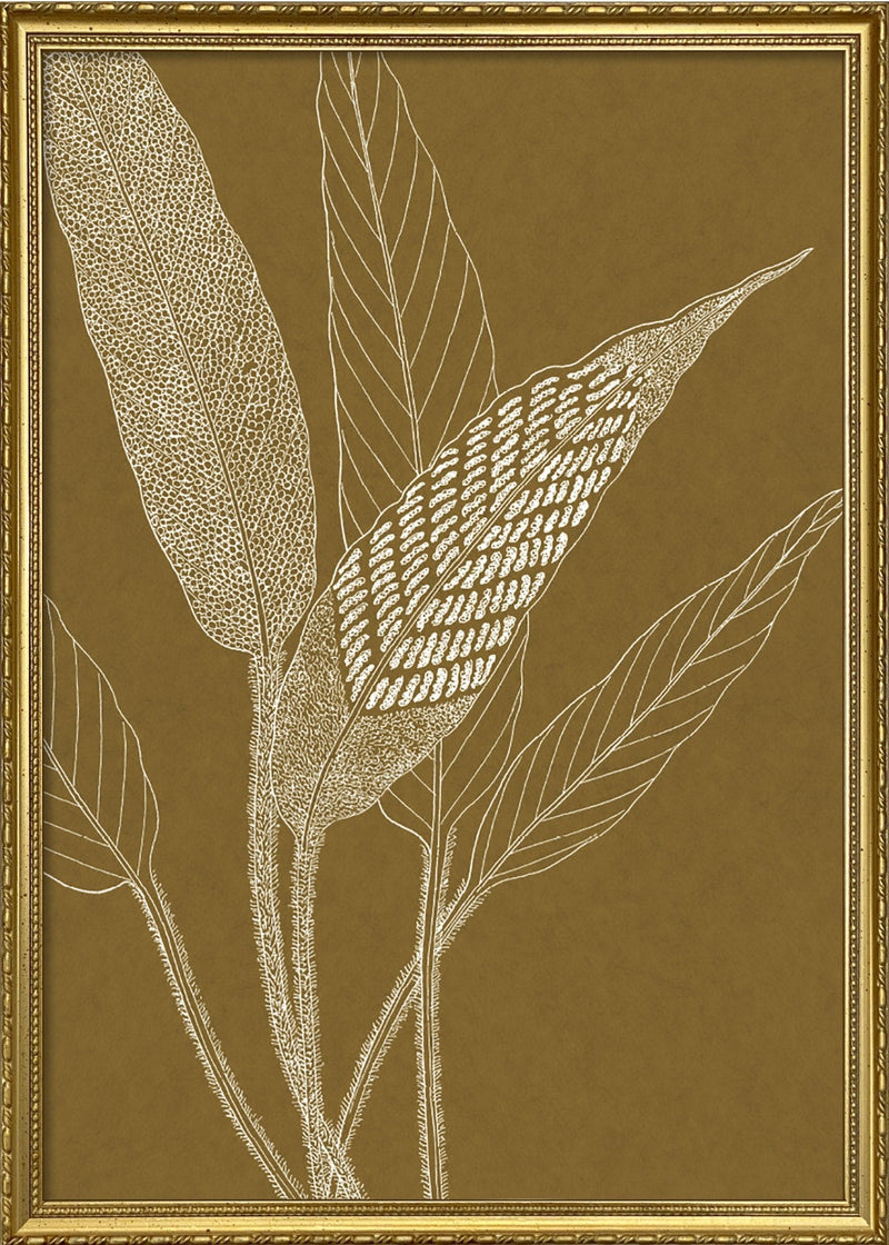 Leaves