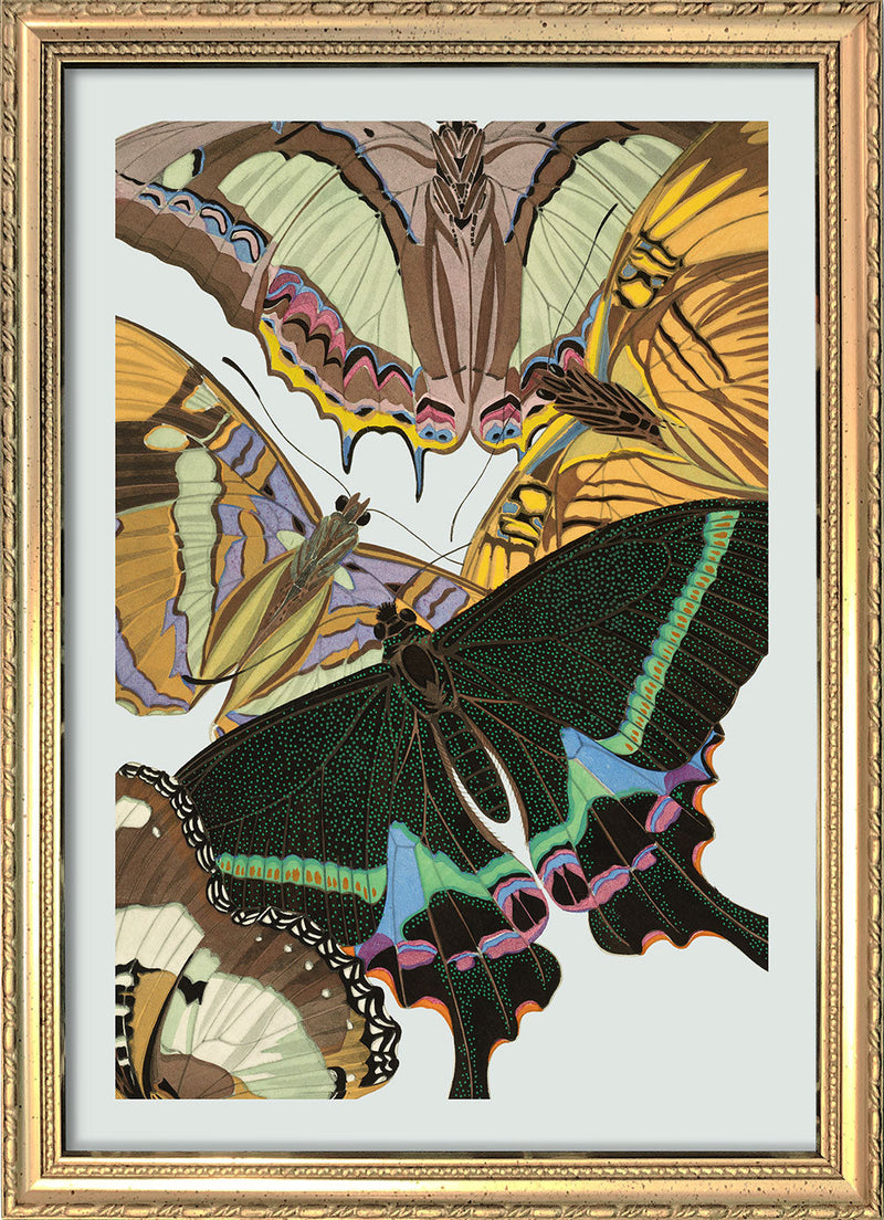 Papillon I. Mini Print