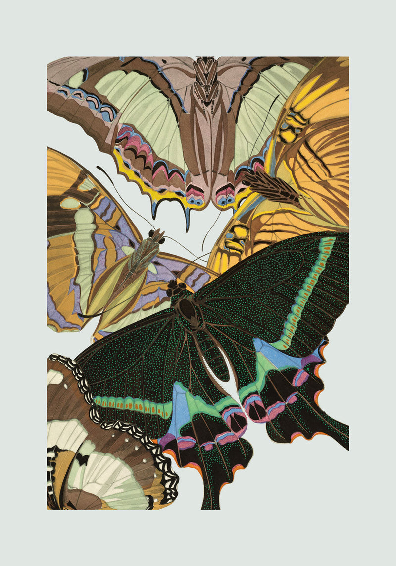 Papillon I. Mini Print