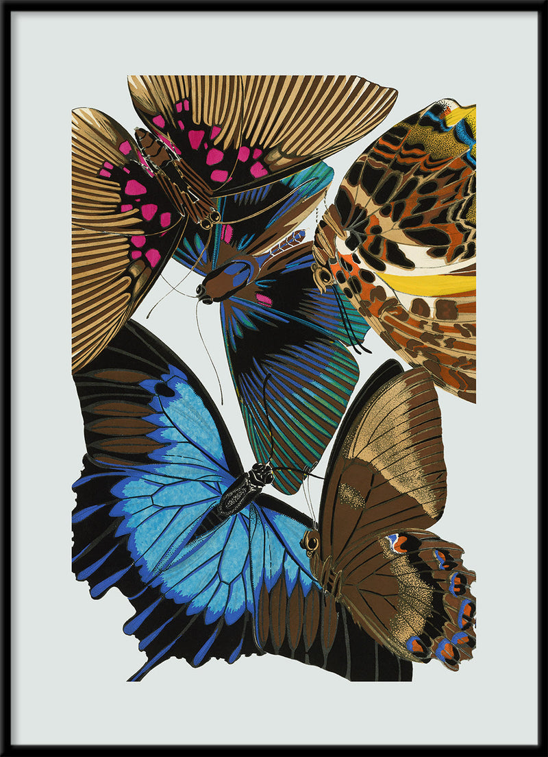 Papillon II. Mini Print