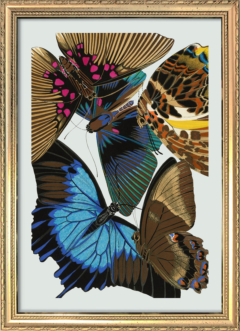 Papillon II. Mini Print