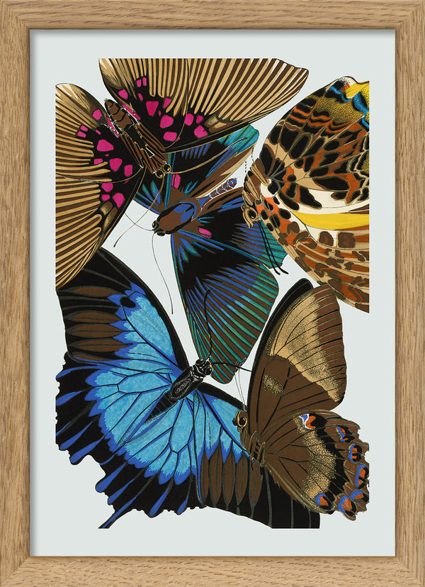 Papillon II. Mini Print