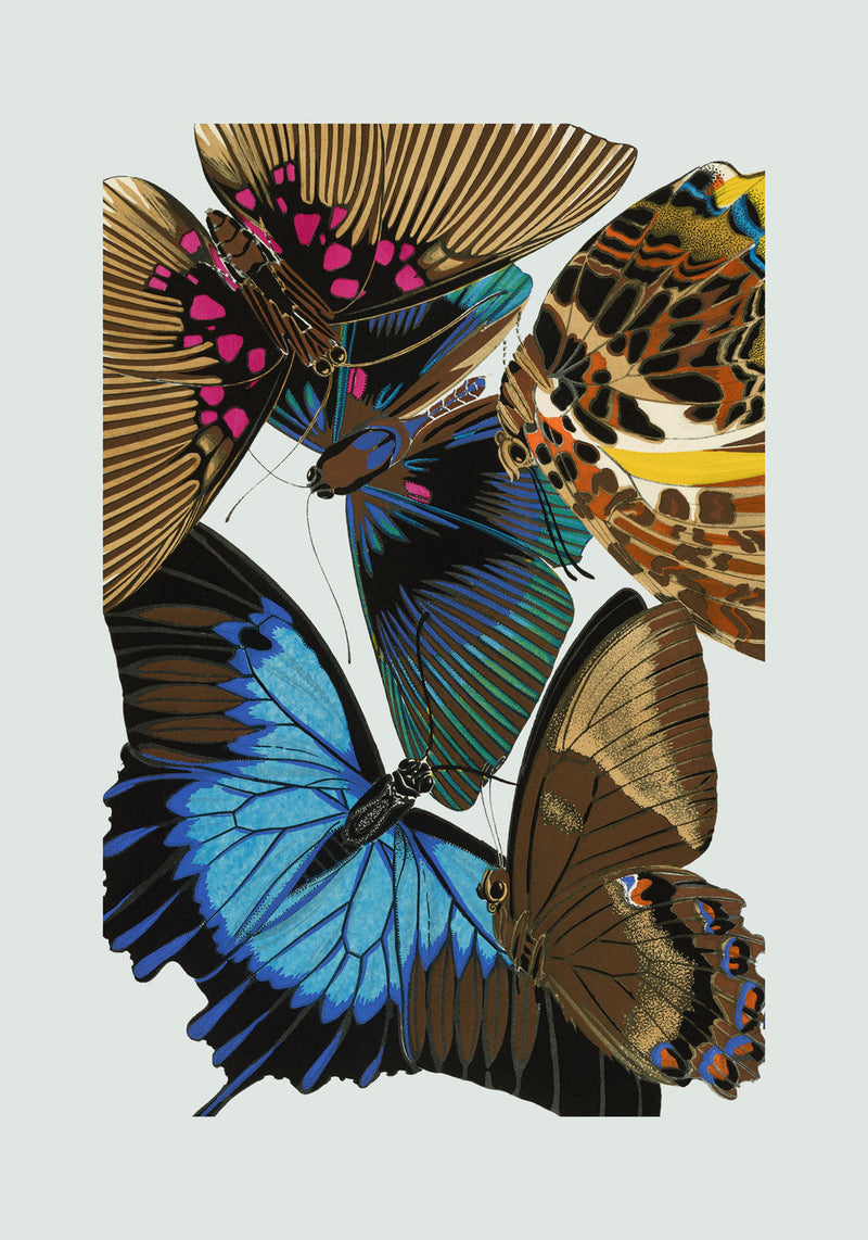 Papillon II. Mini Print