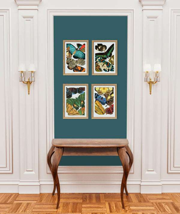 Papillon V. Mini Print