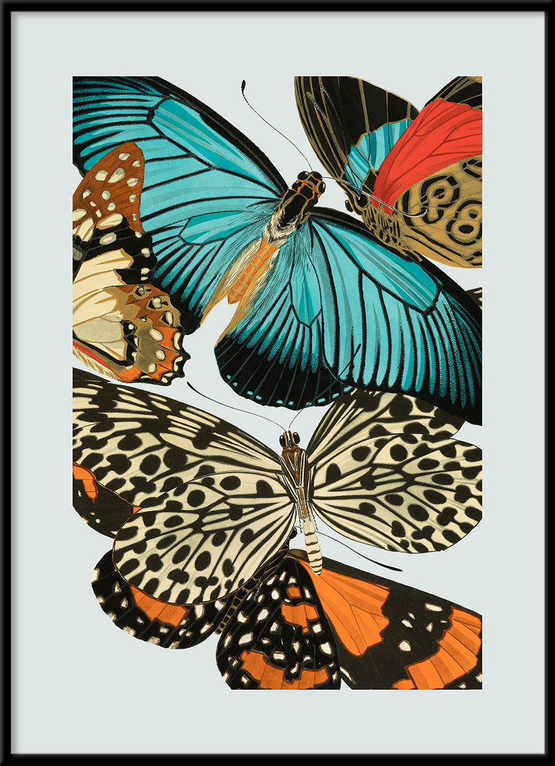 Papillon III. Mini Print