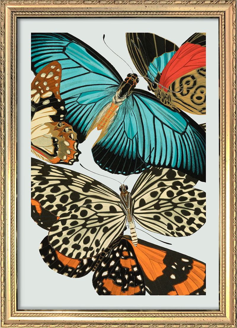 Papillon III. Mini Print
