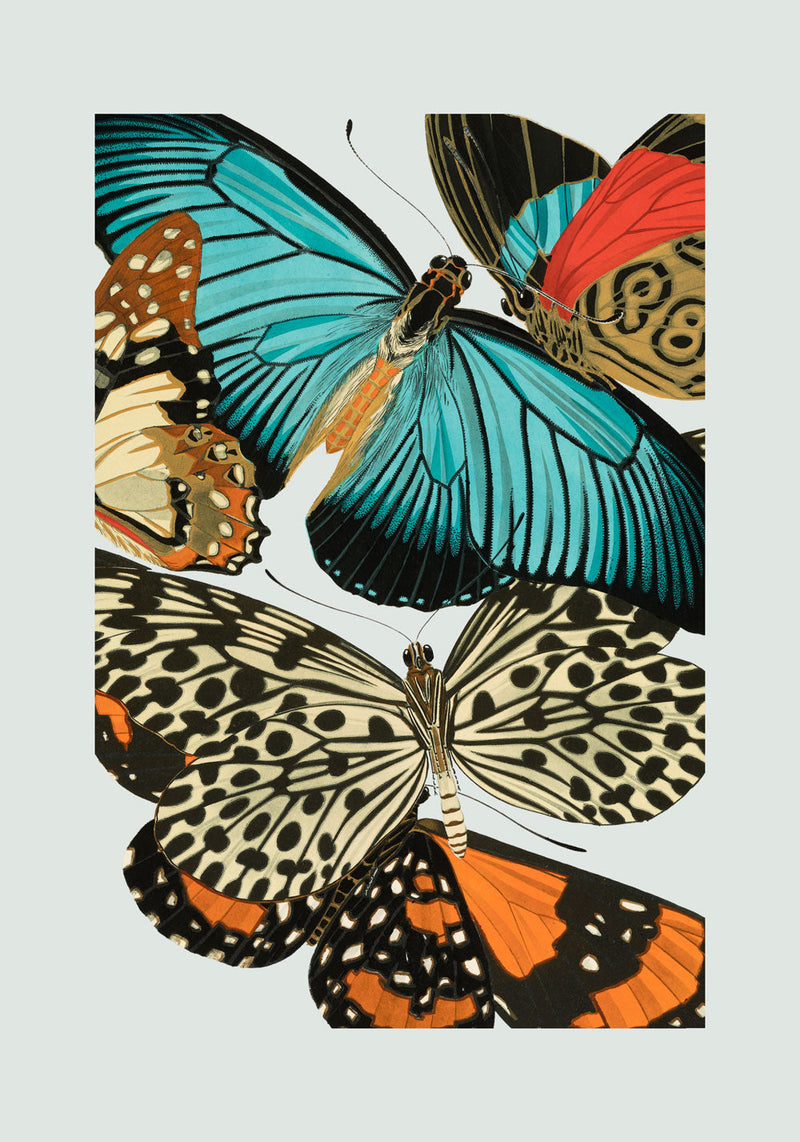 Papillon III. Mini Print