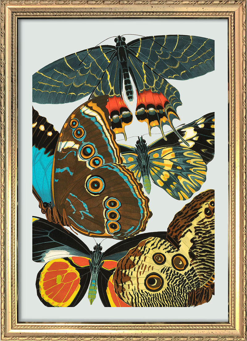Papillon IV. Mini Print
