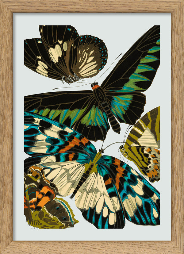 Papillon V. Mini Print