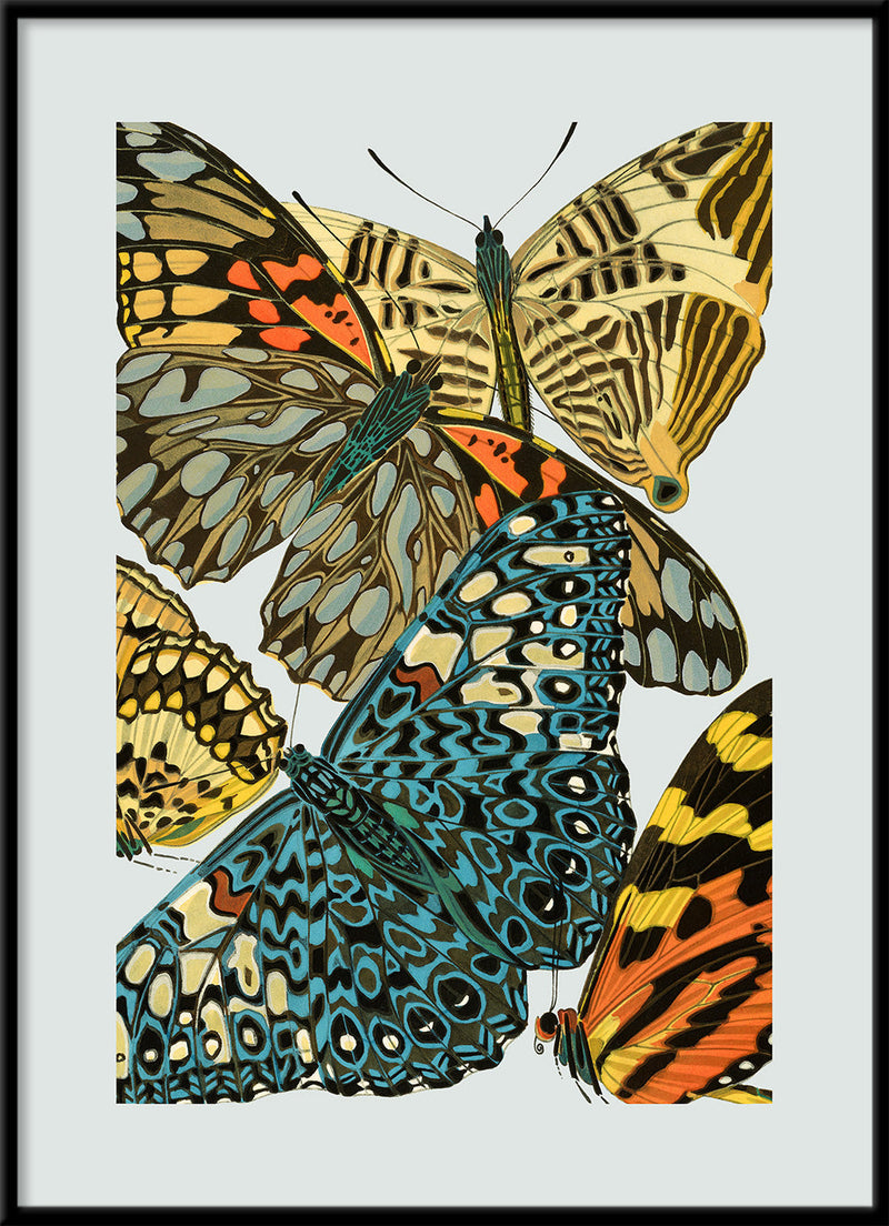 Papillon VII. Mini Print