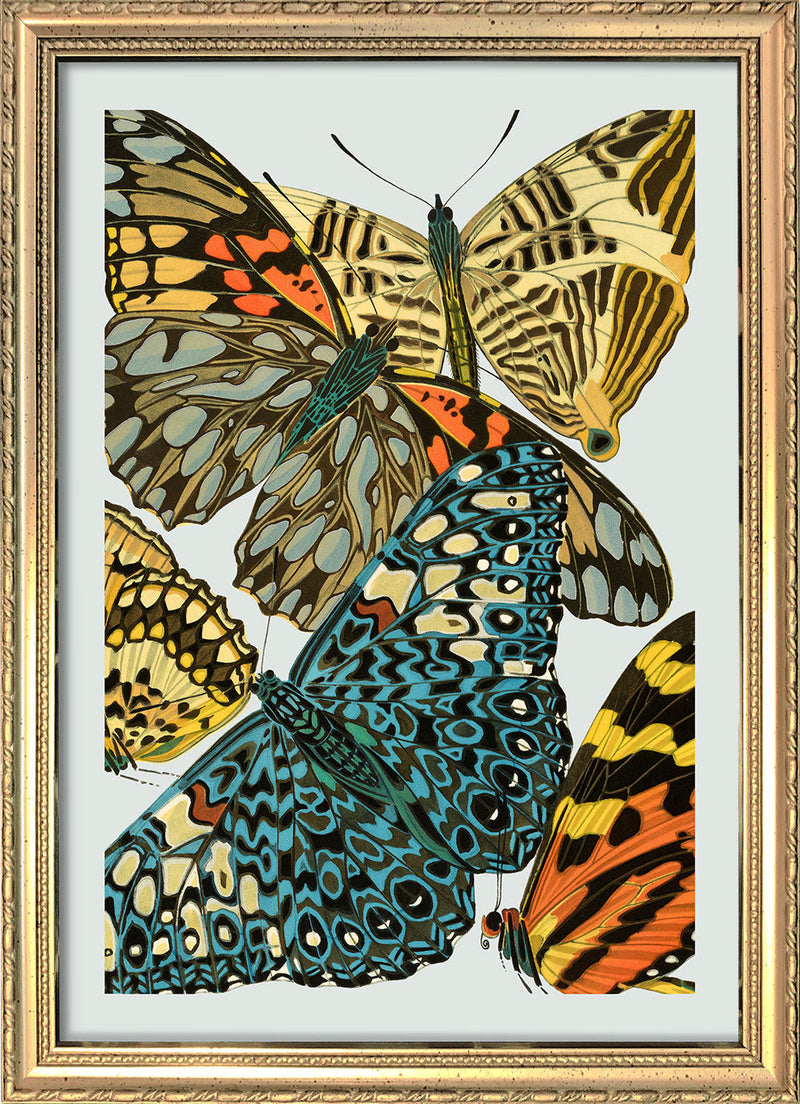 Papillon VII. Mini Print