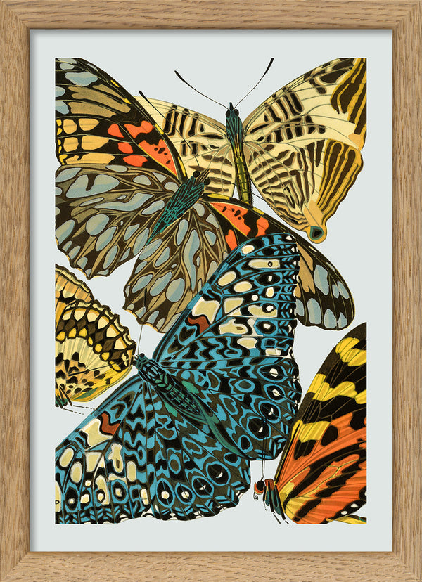 Papillon VII. Mini Print