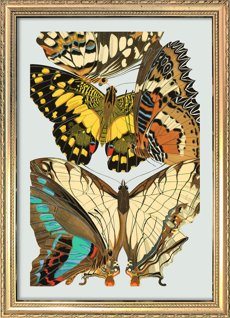 Papillon IX. Mini Print