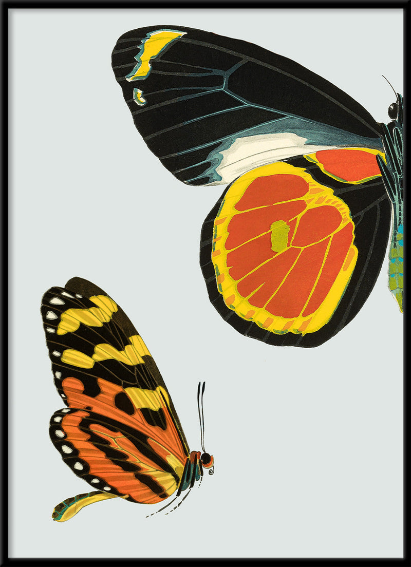 Black and Yellow Butterfly Left. Mini Print