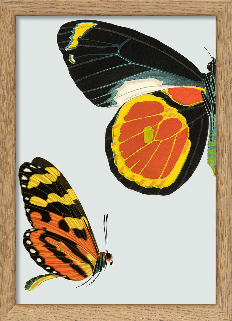 Black and Yellow Butterfly Left. Mini Print