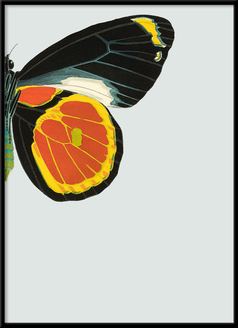 Black and Yellow Butterfly Right. Mini Print