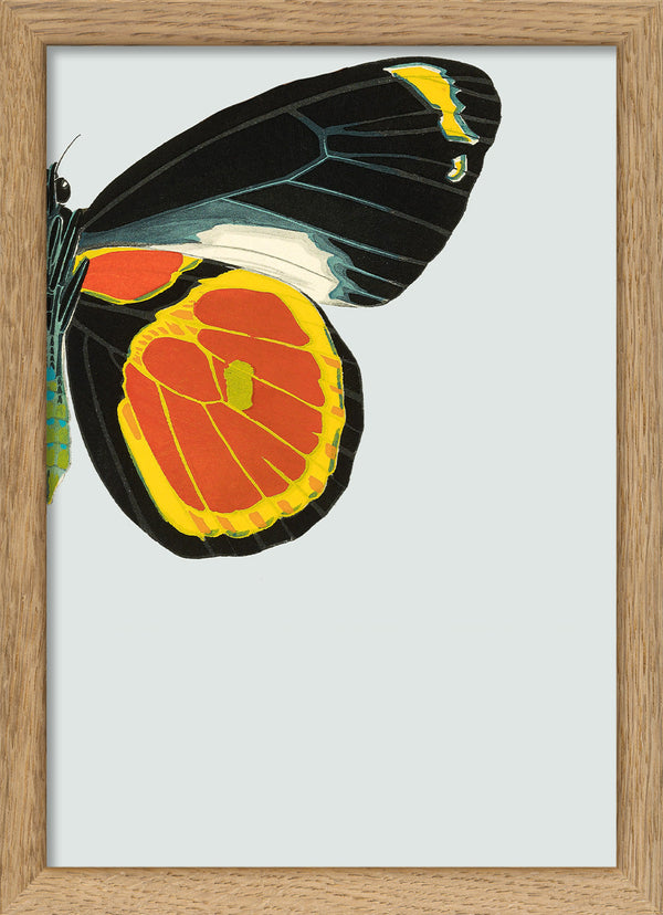 Black and Yellow Butterfly Right. Mini Print