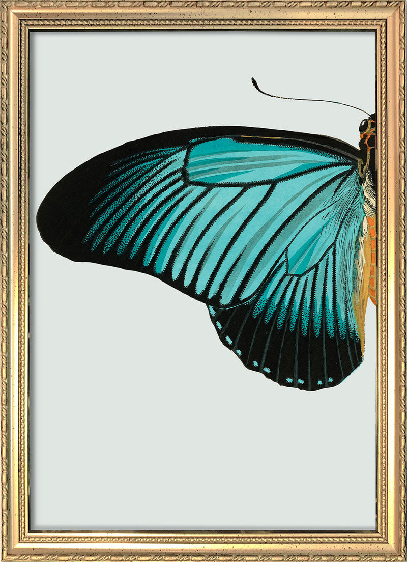 Blue Butterfly Left. Mini Print