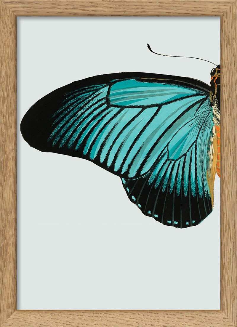 Blue Butterfly Left. Mini Print