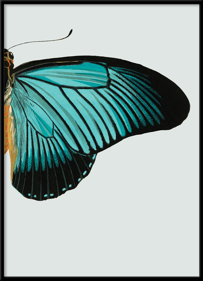 Blue Butterfly Right. Mini Print