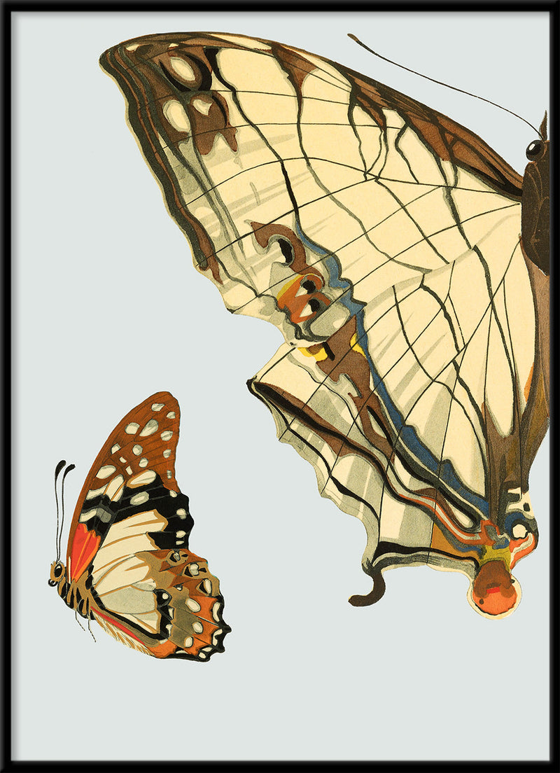 Beige and Brown Butterfly Left. Mini Print