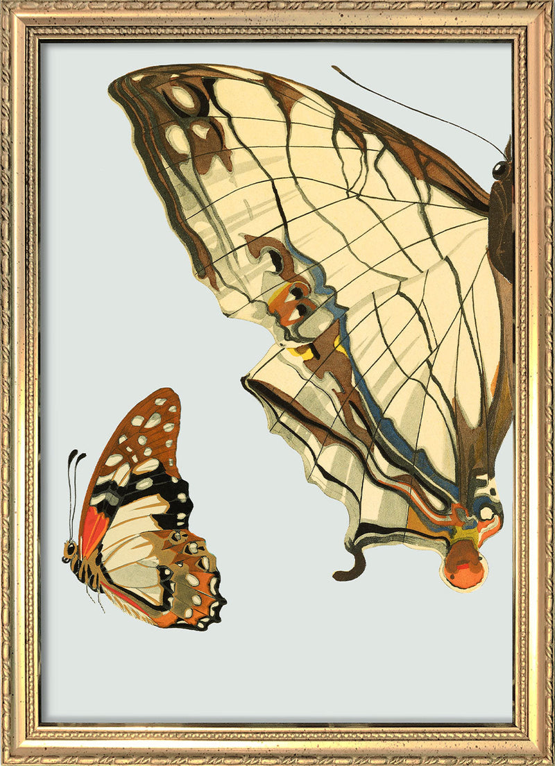 Beige and Brown Butterfly Left. Mini Print