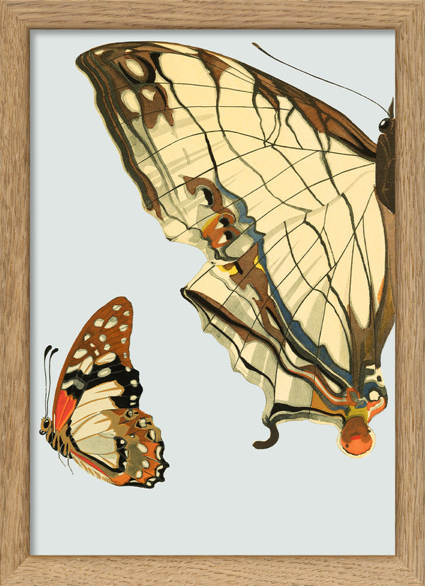 Beige and Brown Butterfly Left. Mini Print