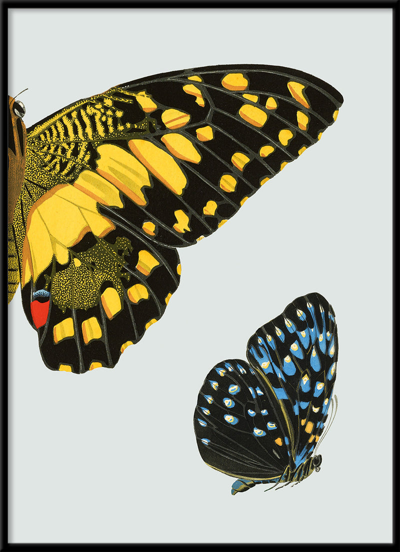 Yellow dotted Butterfly Right. Mini Print
