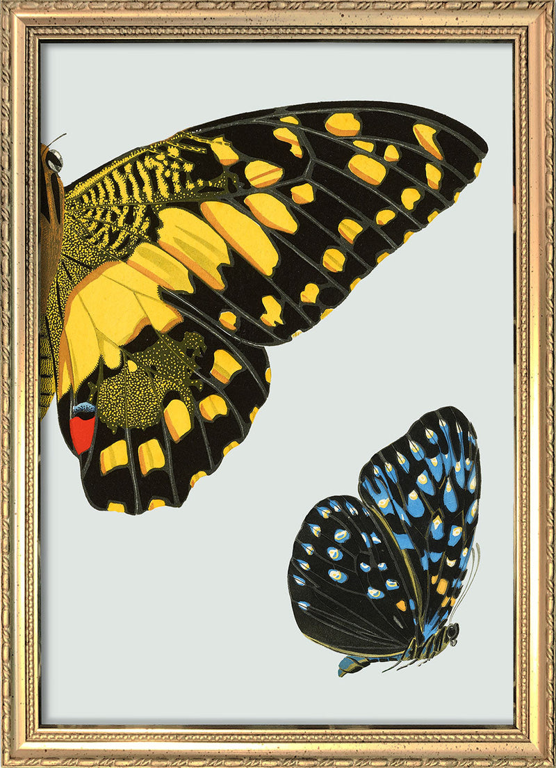 Yellow dotted Butterfly Right. Mini Print