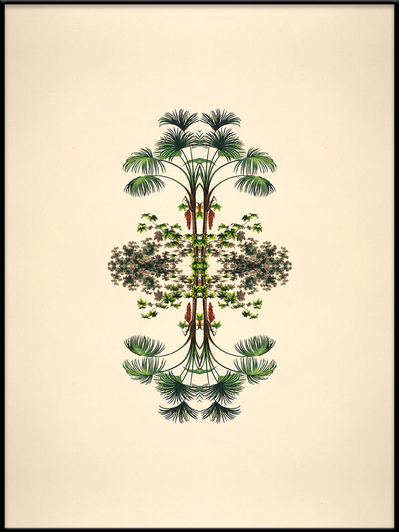 Botanical Reflection Limited Edition Print
